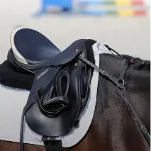 Fast Horse
